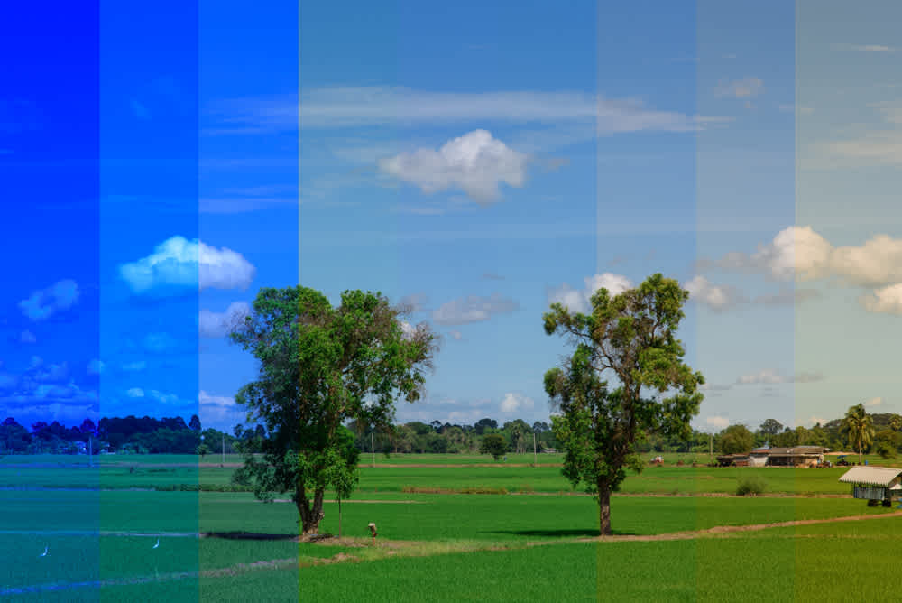 What is white balance?